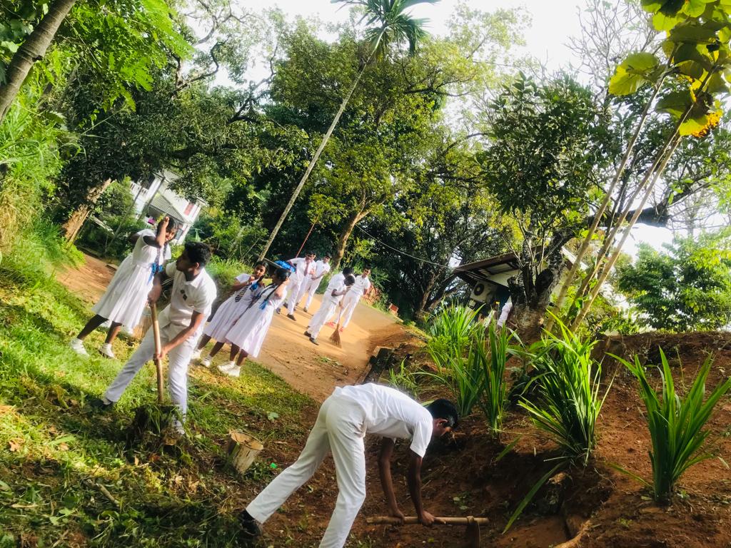 ගෙවතු වගා වැඩසටහන